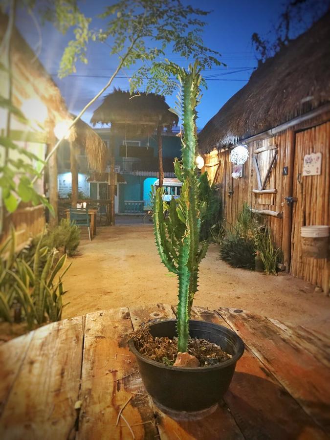 Eco Hostel Casa Del Agua 홀박스아일랜드 외부 사진